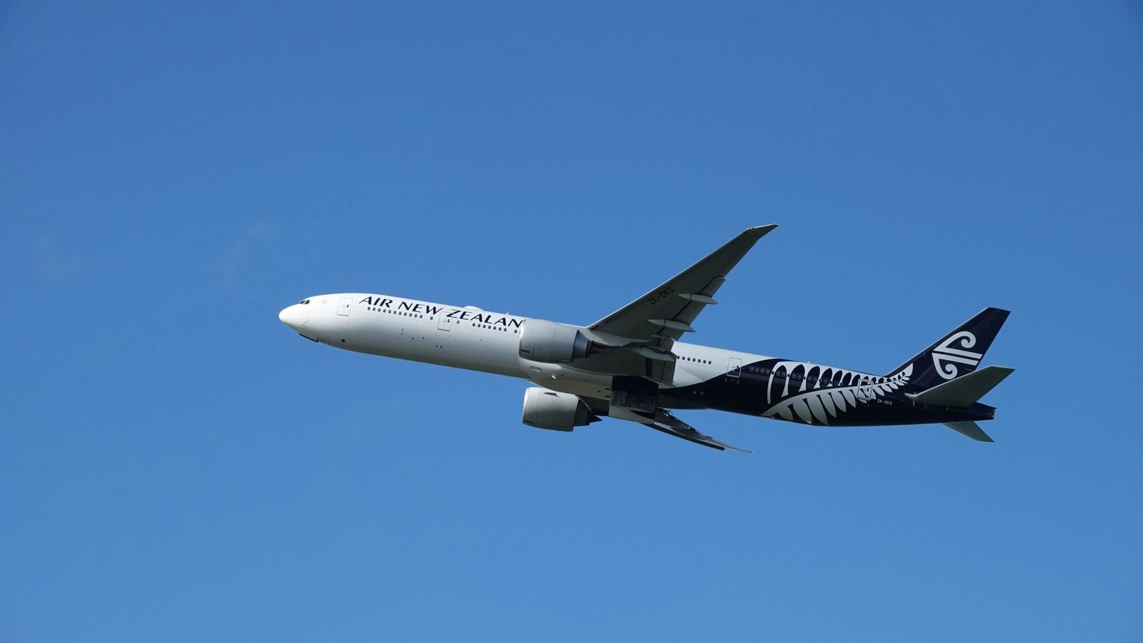 This Airline’s New Sleep Pods Let Economy Passengers Book Lie Flat Beds Starting This Year Here’s What to Expect