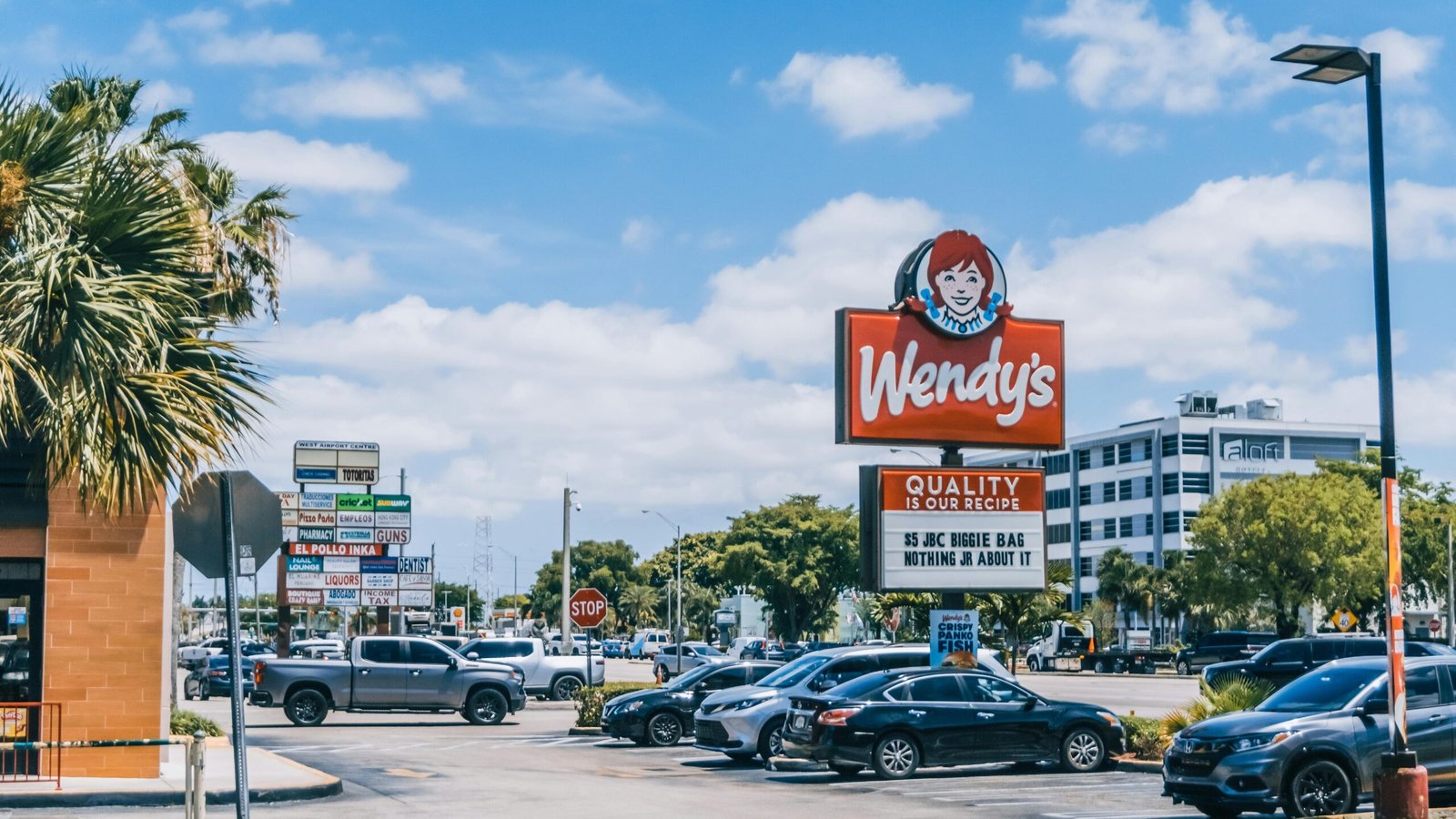 14 Things I Would Never Order at Wendy’s Again After Trying Them